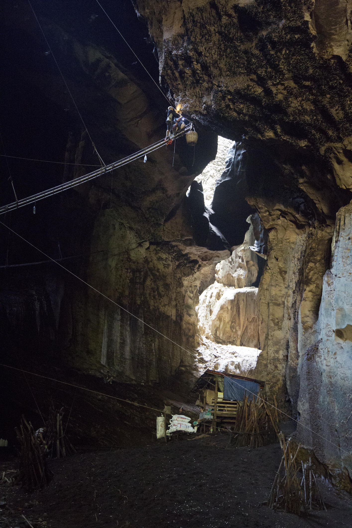 Bird’s Nest Delicacy Saliva in Your Soup News Digest Healthy Options