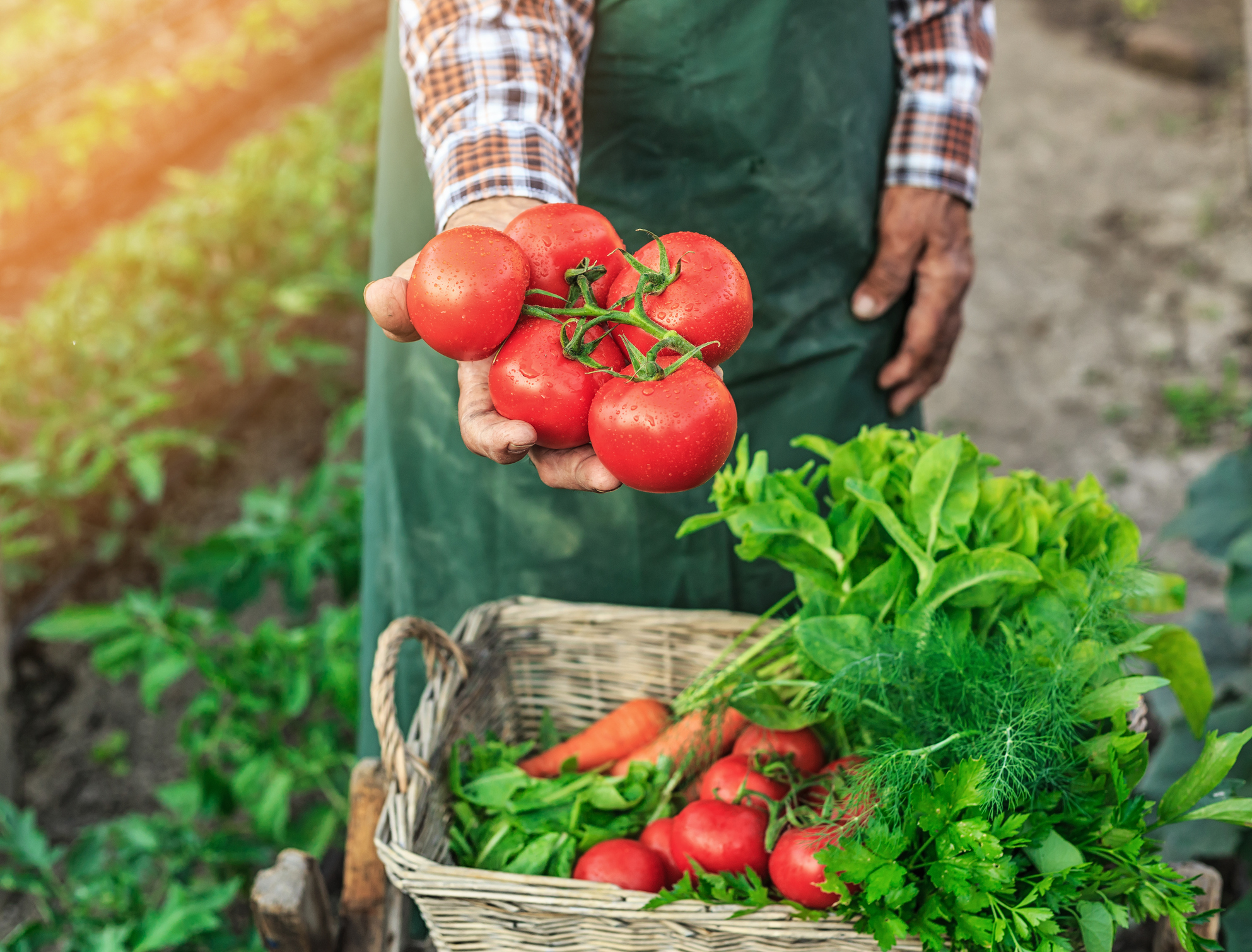 What is Sprayed on Produce After Harvest? News Digest Healthy Options