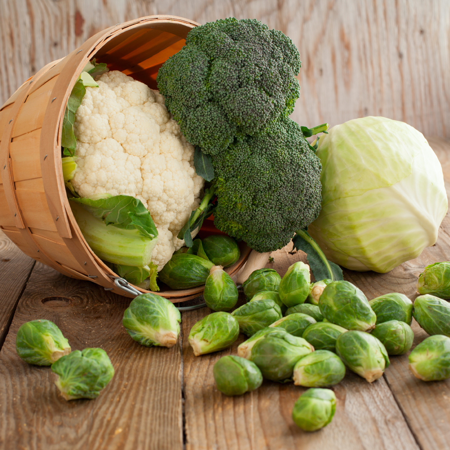 All About Chinese Cabbage from the Brassica Family - Blog ...