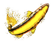  Can Fish Oil Reverse Plaque in Arteries? - News Digest | Healthy Options 